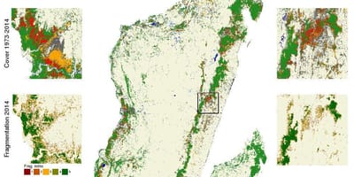 Mapa de Madagascar deforestación