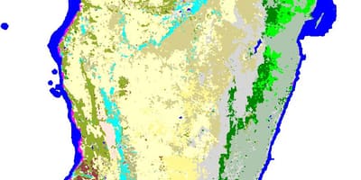Mapa de Madagascar vexetación